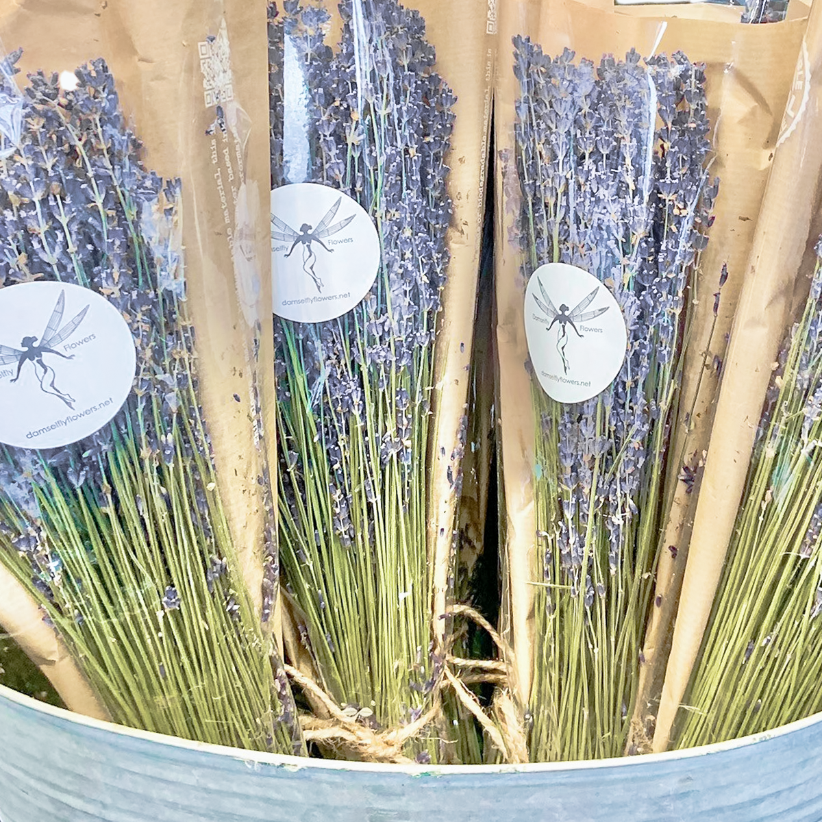 lavender plant dried Dried Lavender Bundle – Damselfly Florals & Events