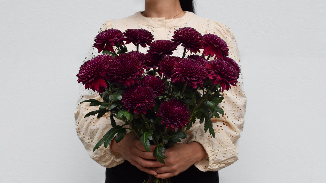 A woman holding a bouquet of burgundy chrysanthemums