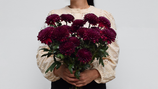 A woman holding a bouquet of burgundy chrysanthemums