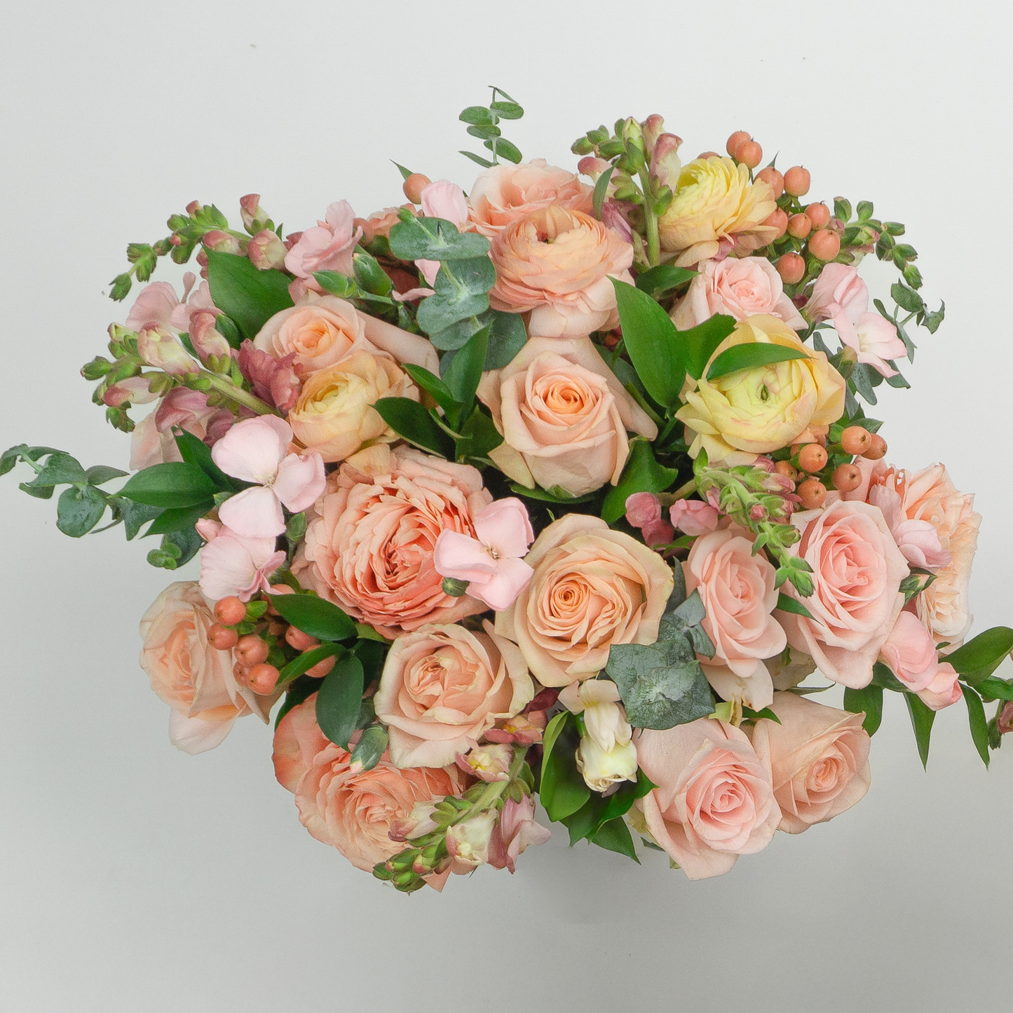 Peach Monochromatic
