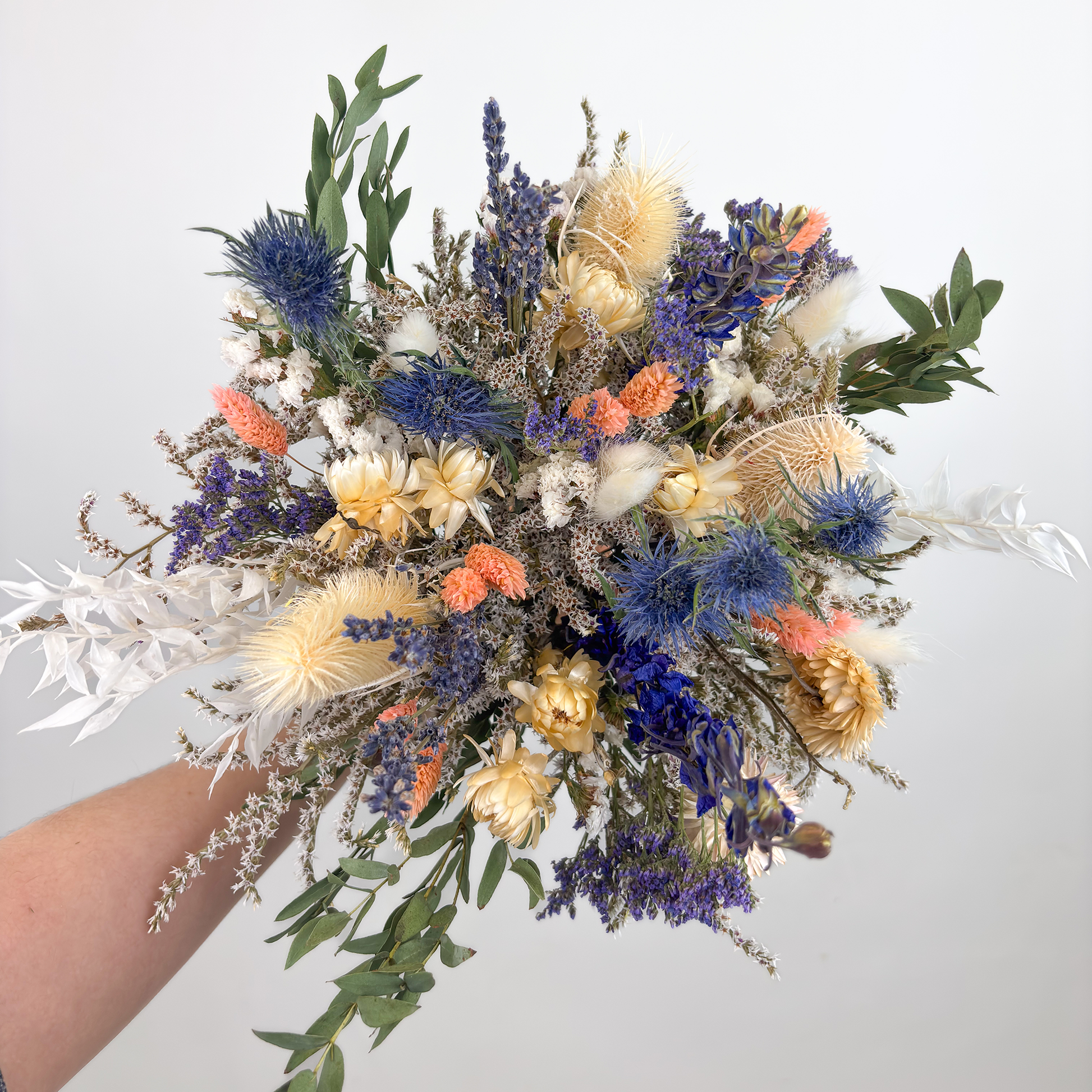 Bouquet of dried flowers in a dreamy palette of lavender, soft ivory, blush, and striking blue. Sculptural bleached carduus and natural strawflower steal the spotlight, while lavender, purple limonium, white statice, and delphinium create layers of texture and color. Finished with white bunny tails, blush phalaris, seeded dollar eucalyptus, and white ruscus, this everlasting arrangement brings a sense of calm elegance to coffee tables, entryways, and thoughtful gifting moments.