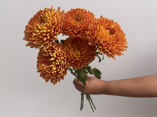 Copper Chrysanthemum Bunch