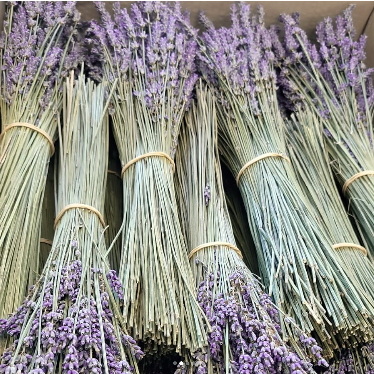 Dried lavender bundle wrapped in kraft paper
