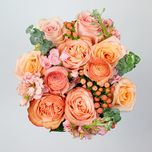 Peach Monochromatic