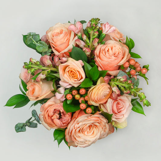 Peach Monochromatic