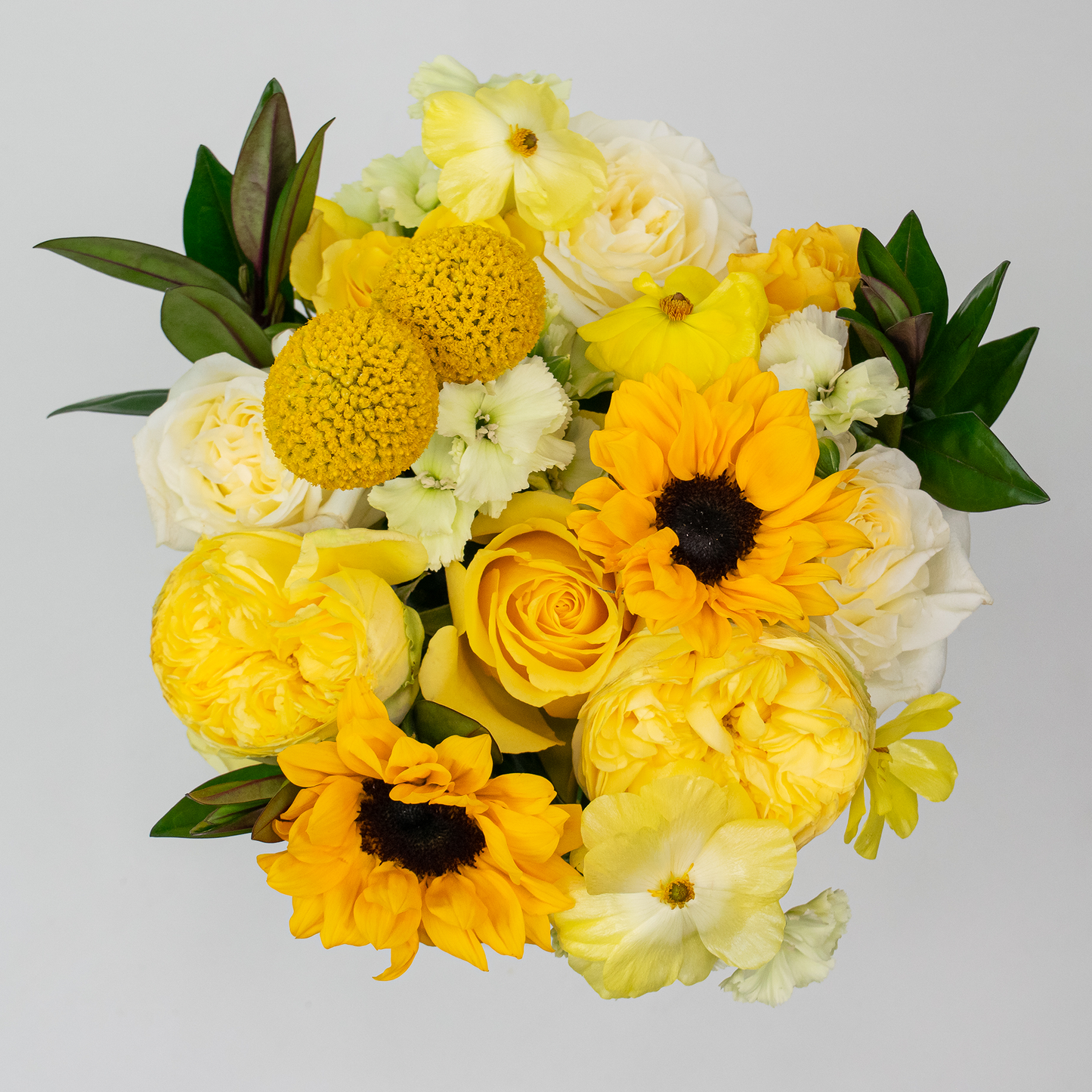 Yellow Monochromatic